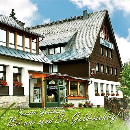 Ferienhotel Muehlleithen Клингенталь Экстерьер фото
