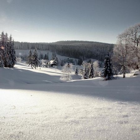 Ferienhotel Muehlleithen Клингенталь Экстерьер фото