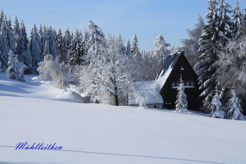Ferienhotel Muehlleithen Клингенталь Экстерьер фото