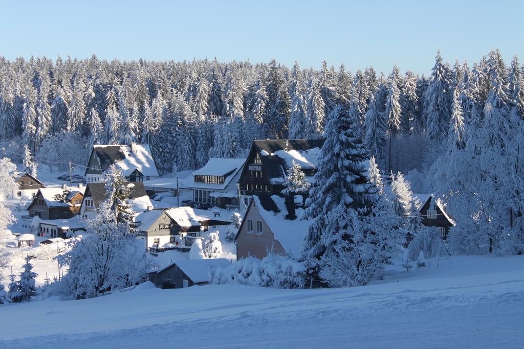 Ferienhotel Muehlleithen Клингенталь Экстерьер фото