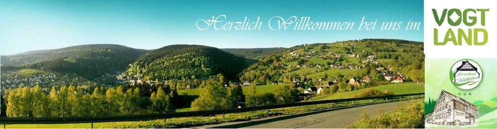 Ferienhotel Muehlleithen Клингенталь Экстерьер фото