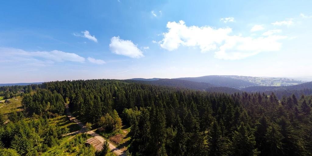Ferienhotel Muehlleithen Клингенталь Экстерьер фото
